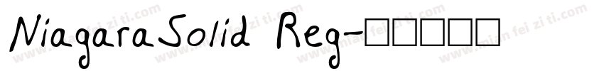 NiagaraSolid Reg字体转换